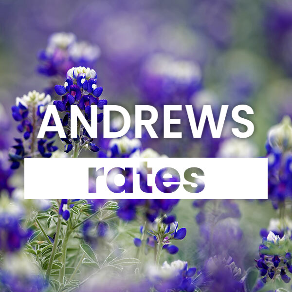 Compare the best Electricity rates and plans in Andrews texas