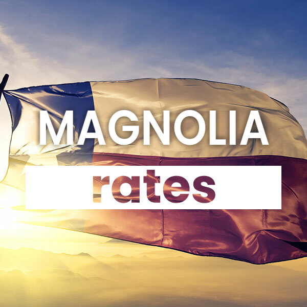 Compare the best Electricity rates and plans in Magnolia texas