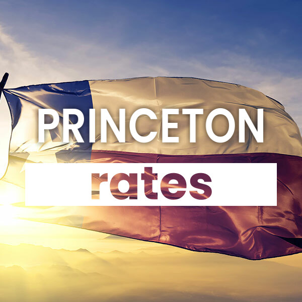 Compare the best Electricity rates and plans in Princeton texas